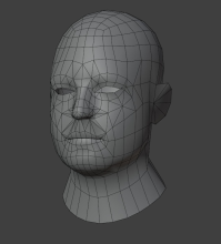 A greyscale view of someone's head, rendered in a 3D digital model.